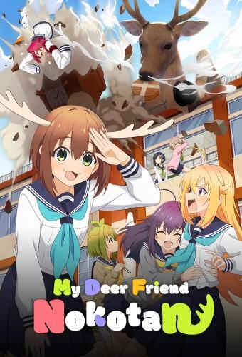 My Deer Friend Nokotan