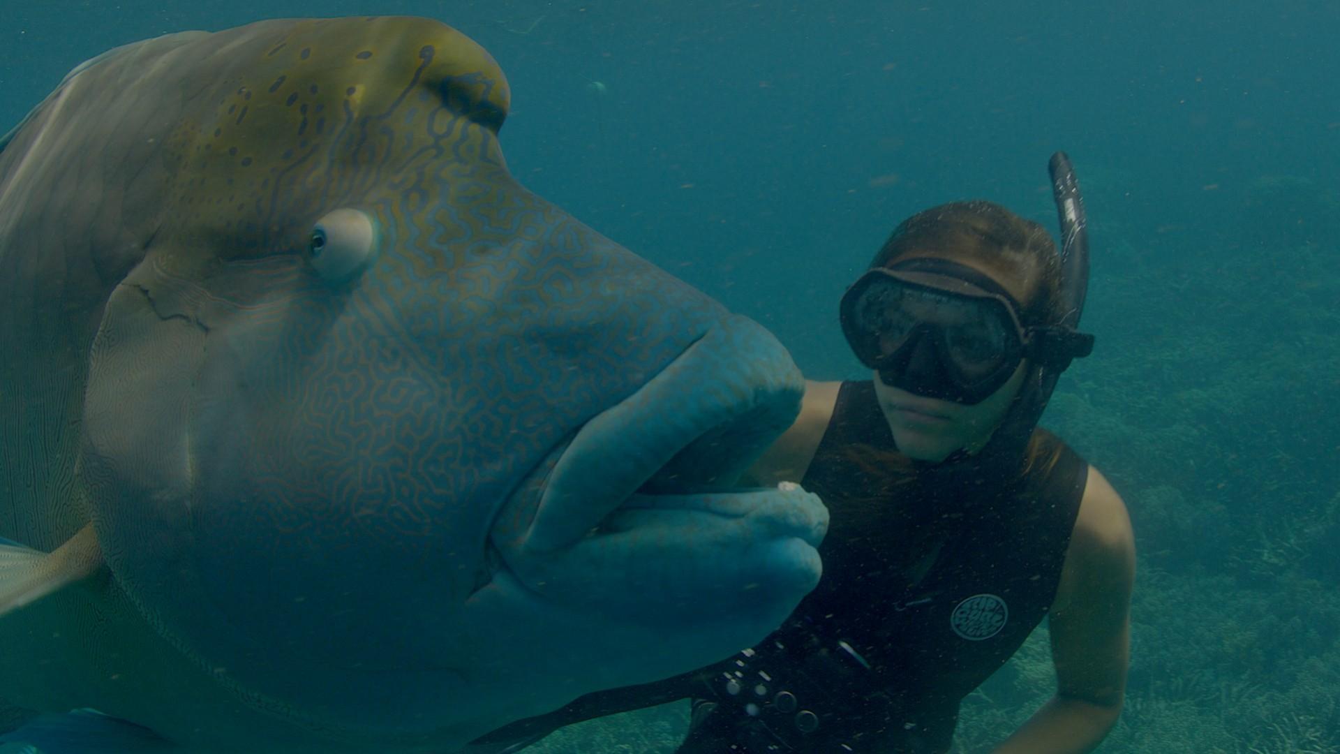 Deep Dive Australia