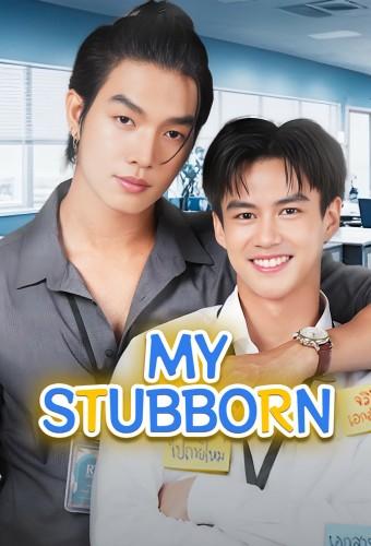 My Stubborn