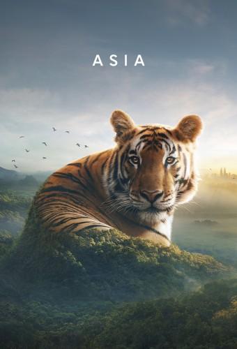 Asia (2024)