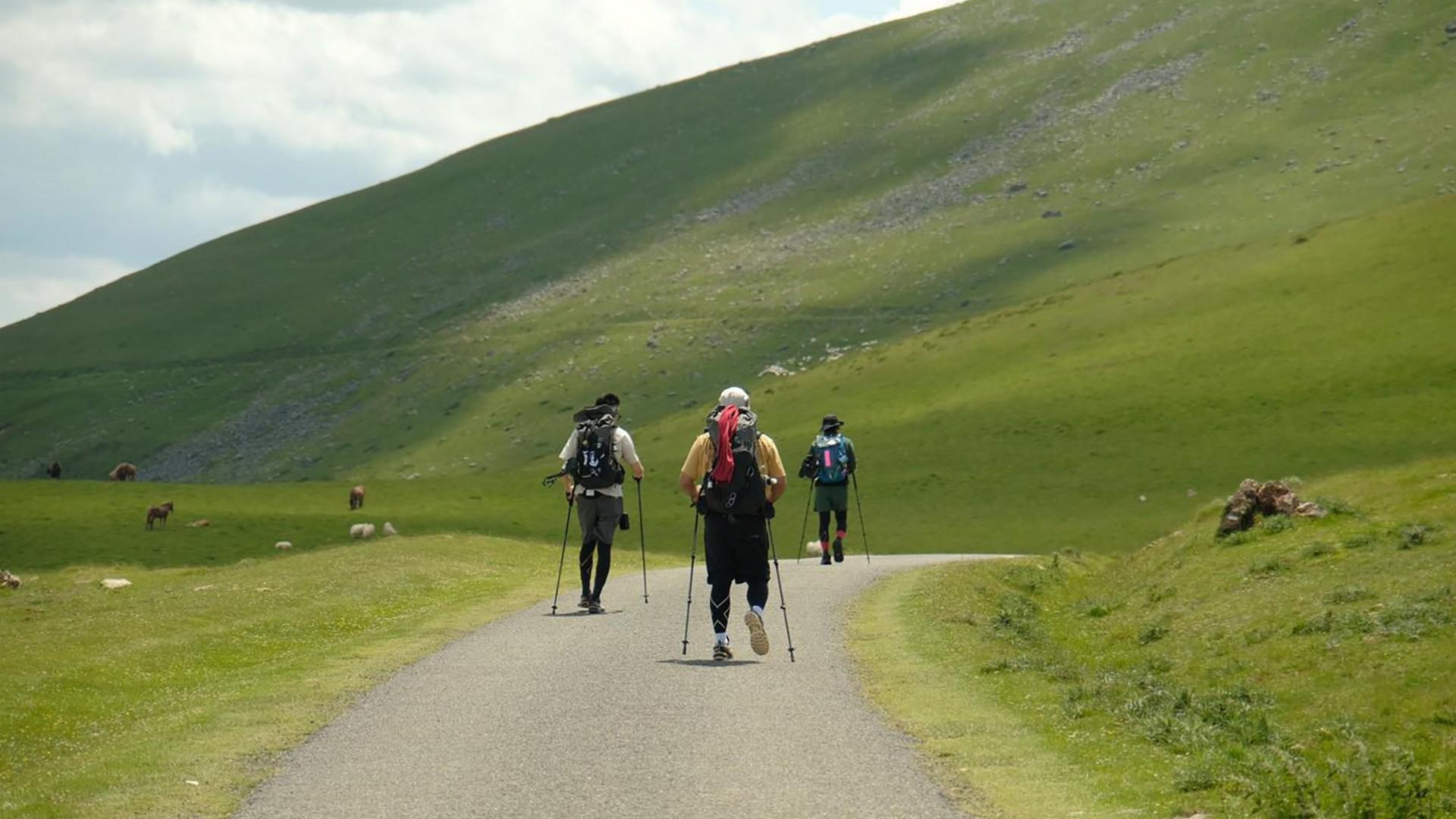 Brothers on the camino