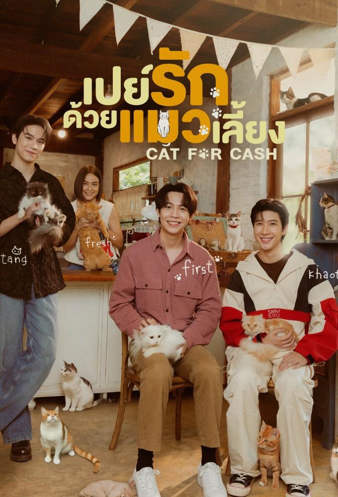 Cat for Cash