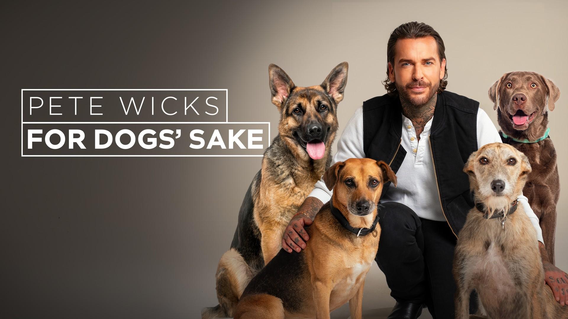Pete Wicks: For Dogs' Sake