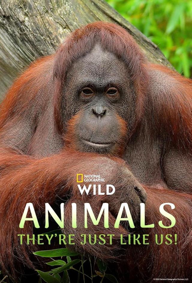 Animals, They're Just Like Us!