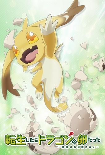 Reincarnated as a Dragon Hatchling