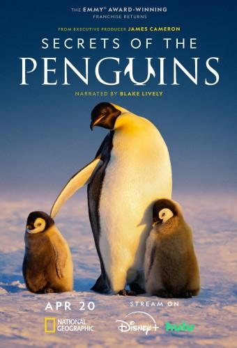 Secrets of the Penguins