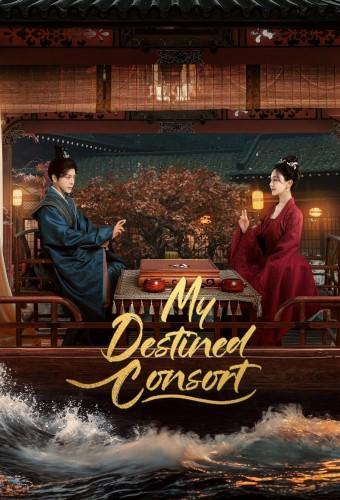 My Destined Consort