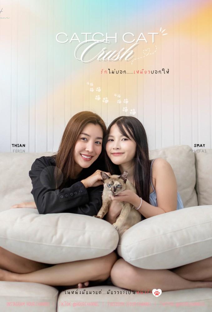 Catch Cat Crush