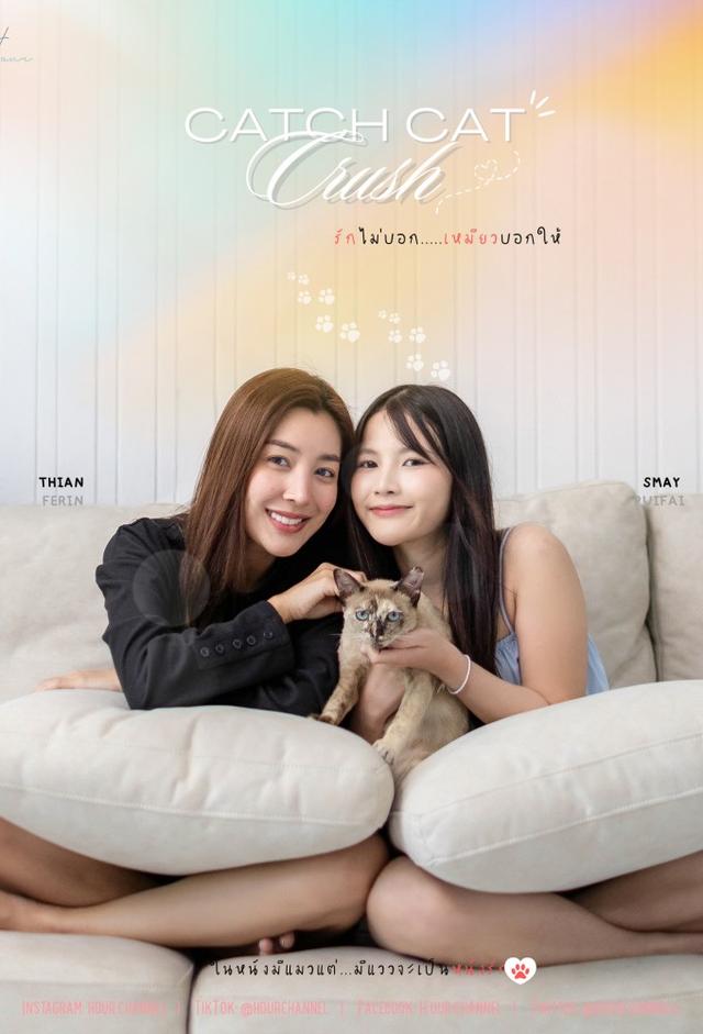 Catch Cat Crush