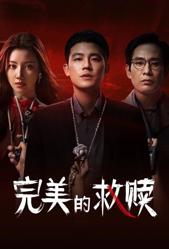 The Perfect Suspect (2025)