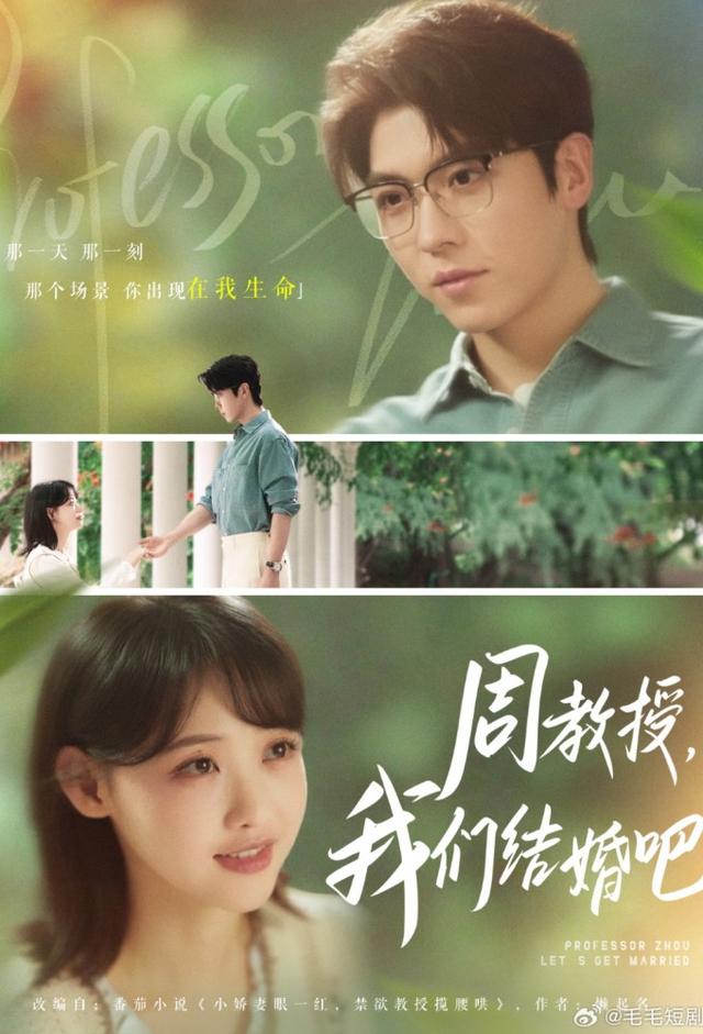 Professor Zhou, Let’s Get Married