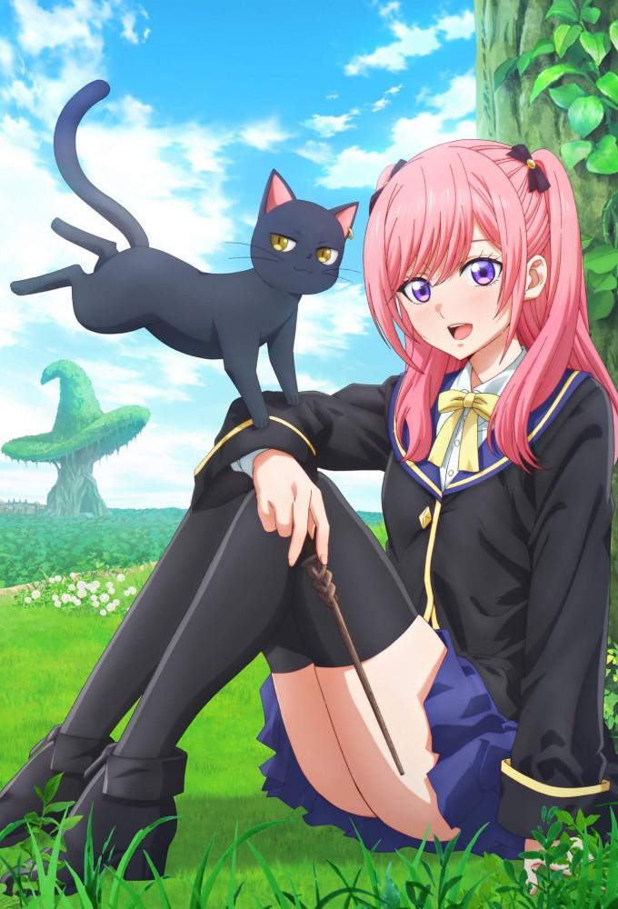 The Classroom of a Black Cat and a Witch
