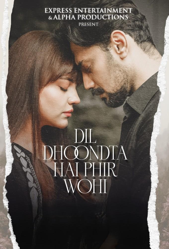 Dil Dhoondta Hai Phir Wohi