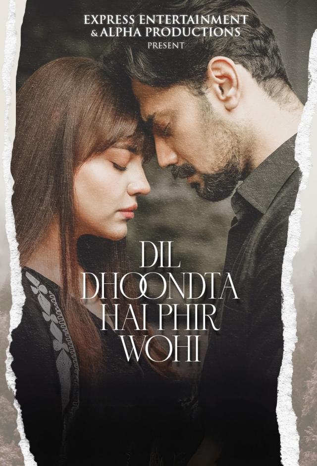 Dil Dhoondta Hai Phir Wohi