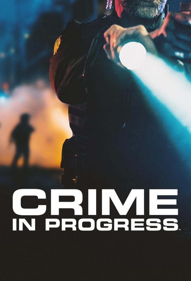 Crime in Progress