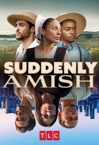 Suddenly Amish