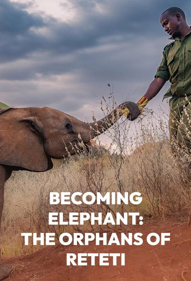 Becoming Elephant: The Orphans of Reteti