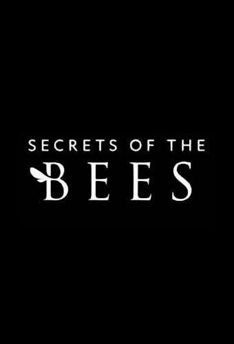 Secrets of the Bees