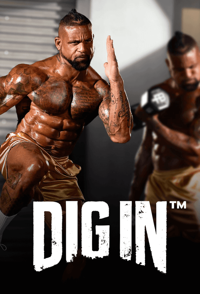 DIG IN