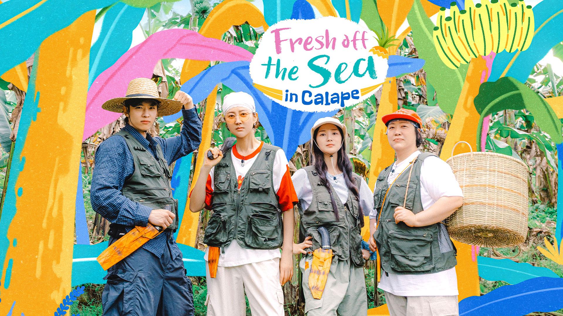 Fresh off the Sea in Calape