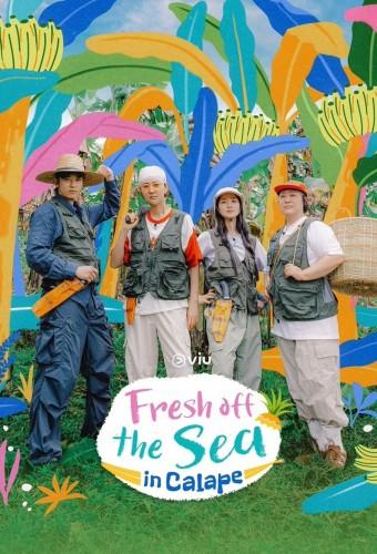 Fresh off the Sea in Calape