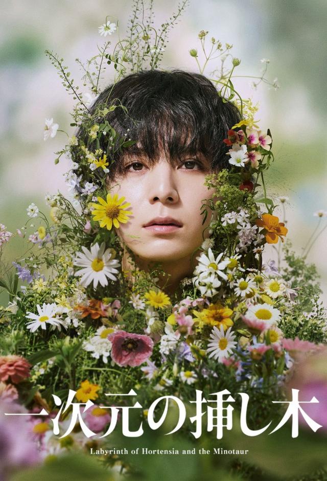Labyrinth of Hortensia and the Minotaur