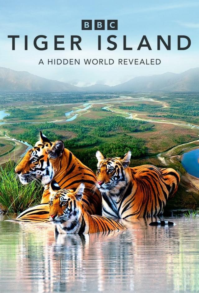 Tiger Island (2026)