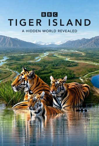 Tiger Island (2026)