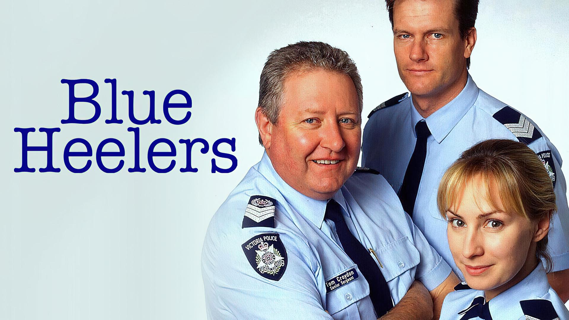 Blue Heelers