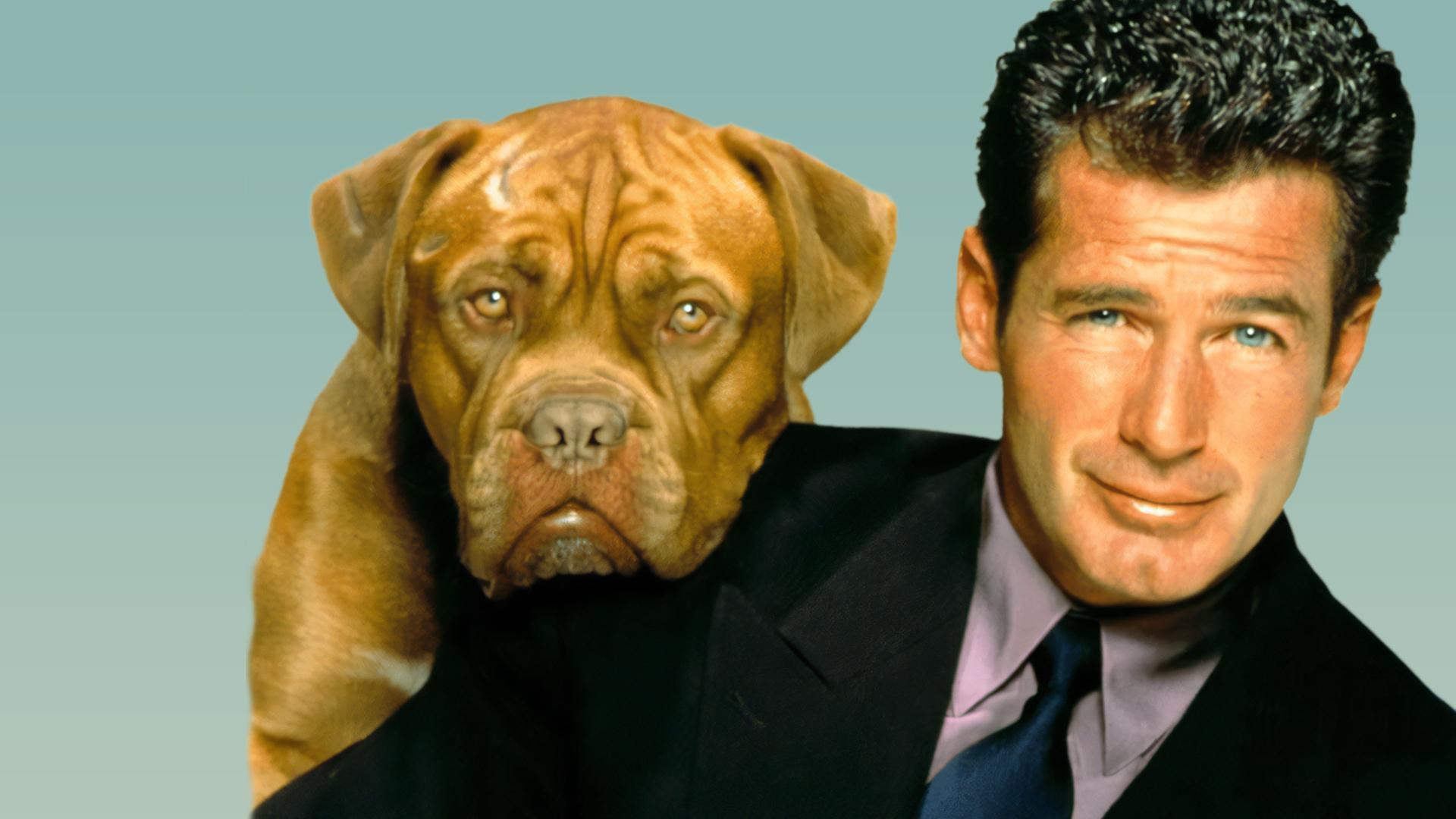 Tequila und Bonetti