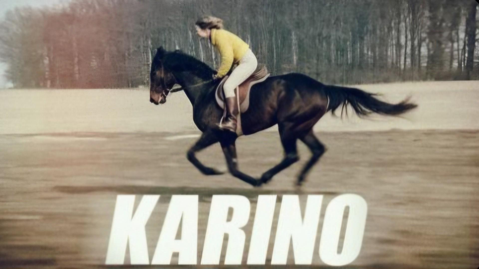 Karino