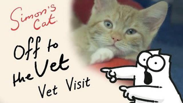 Simon's Cat in 'Off to the Vet' - Vet Visit