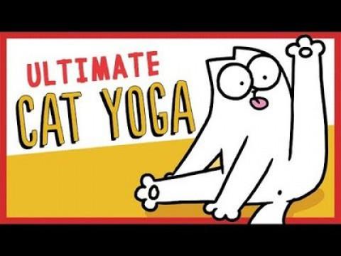 Guide To: Ultimate Cat Yoga