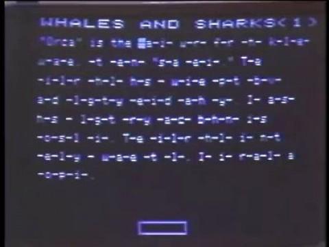 Computers and Illiteracy