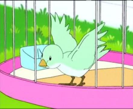 Watch The Birdie