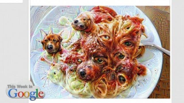 Dogheads In The Spaghetti
