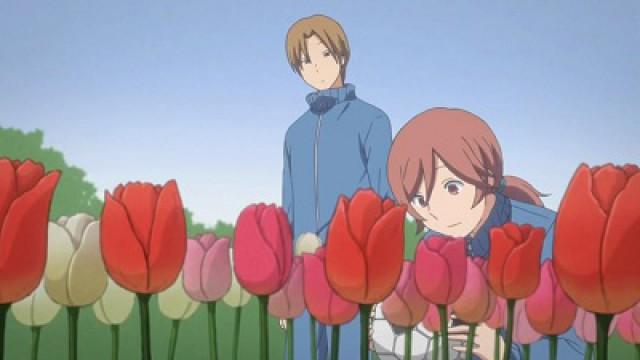 Le jour où les tulipes ont fleuri