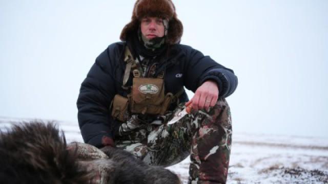 The Coldest Hunt: Nunivak Island Muskox