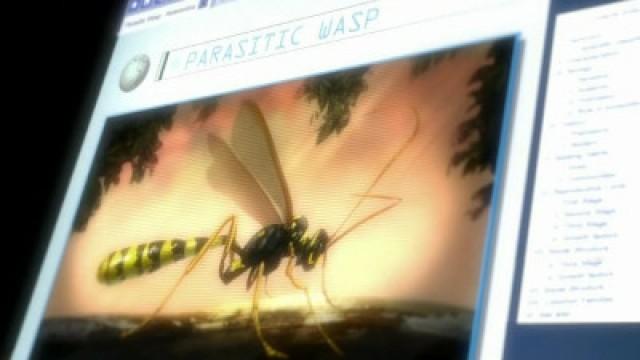 La vespa mutante