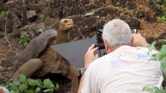 Making Attenborough's Galapagos
