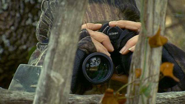 Refuge From the Storm, Flying Falcons & Piney Woods