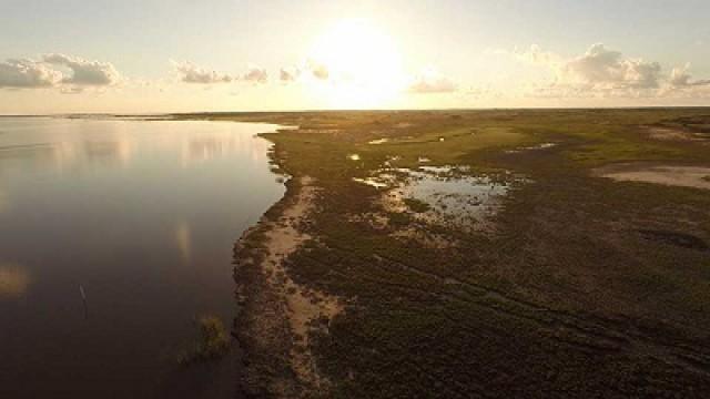 Preparing Powderhorn, Preaching Taxidermy & Caterpillars
