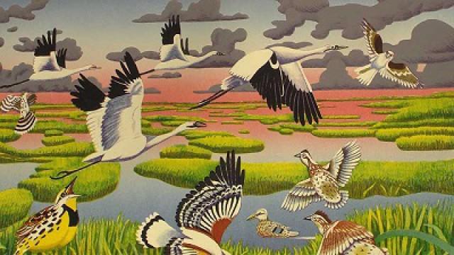 Conservation Art, Seeing Selah & Hermit Crabs