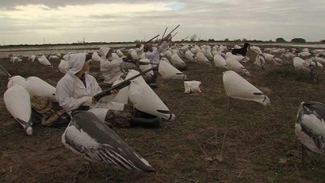 Hunting Laurens, Diving Wardens & an Outdoor Writer