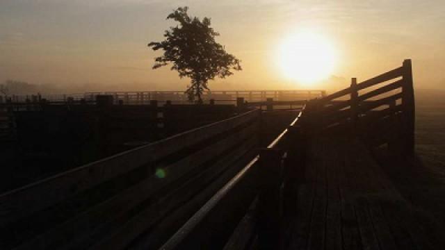 Ranch Wildlife, Conservation Dollars & Kickapoo Cavern