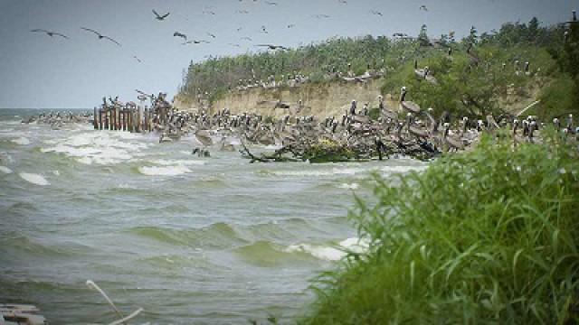 Eroding Island, Fire Crew & Jamaica Beach