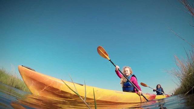 Sea Rim, Sea Center & Tree Stand Safety