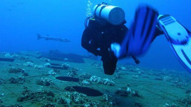 Ocean Oasis, the County Warden & Cedar Hill Bikes