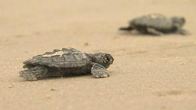 Eye in the Sky, Saving Prairies & Sheldon Lake