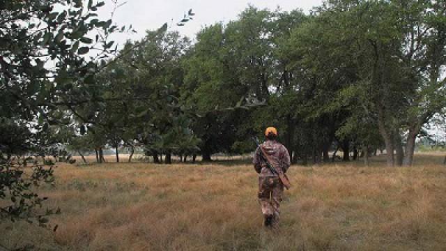 Hunters Welcome, Goldthwaite Goldmine & Some Deer